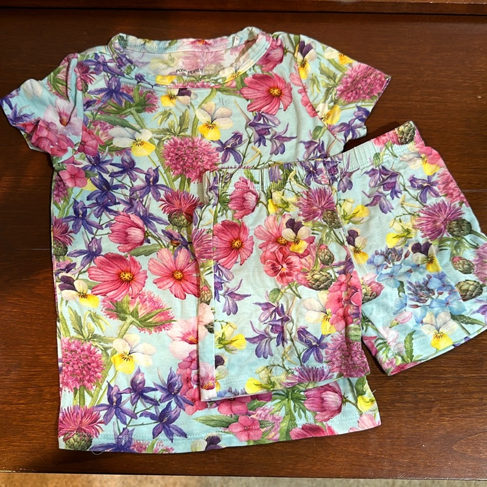 Posh Peanut Toddler Pajamas